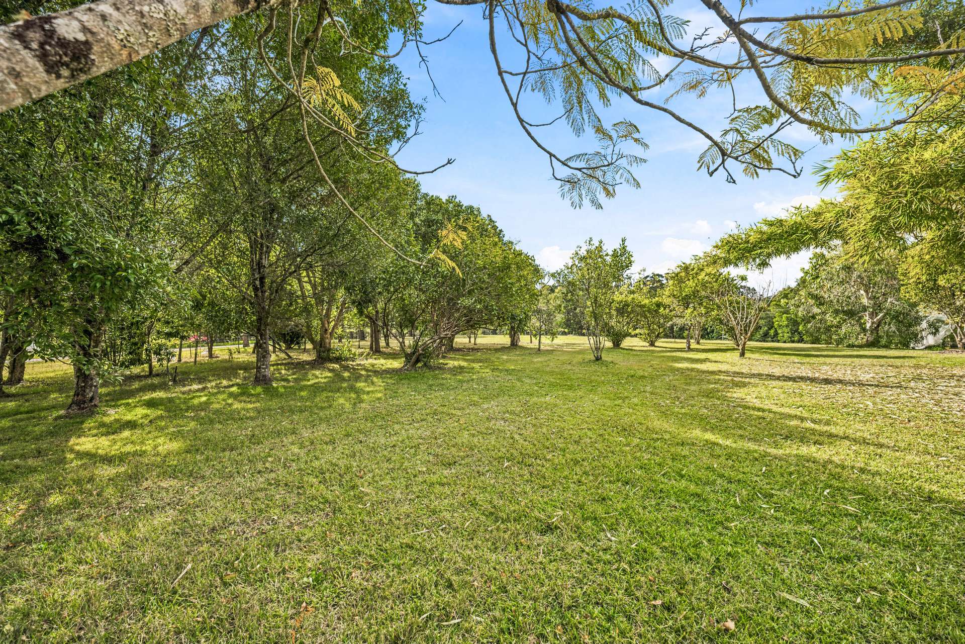 45 Callemonda Road, Brooloo For Sale by Farmbuy.com - image 16