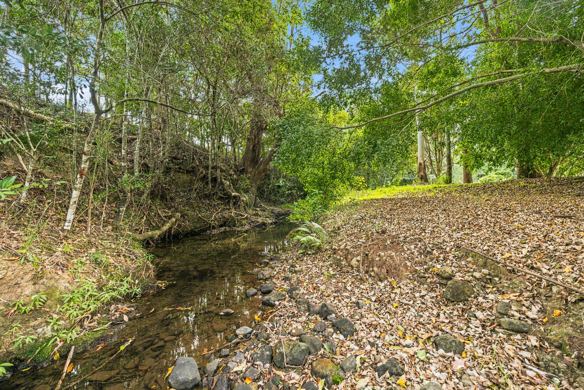 45 Callemonda Road, Brooloo For Sale by Farmbuy.com - image 18