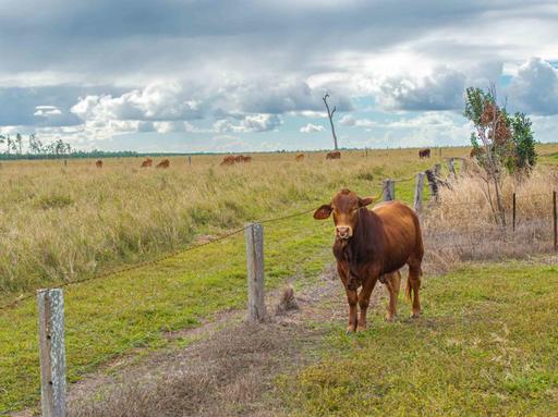 343 Suthers Road, Dunmora QLD 4650