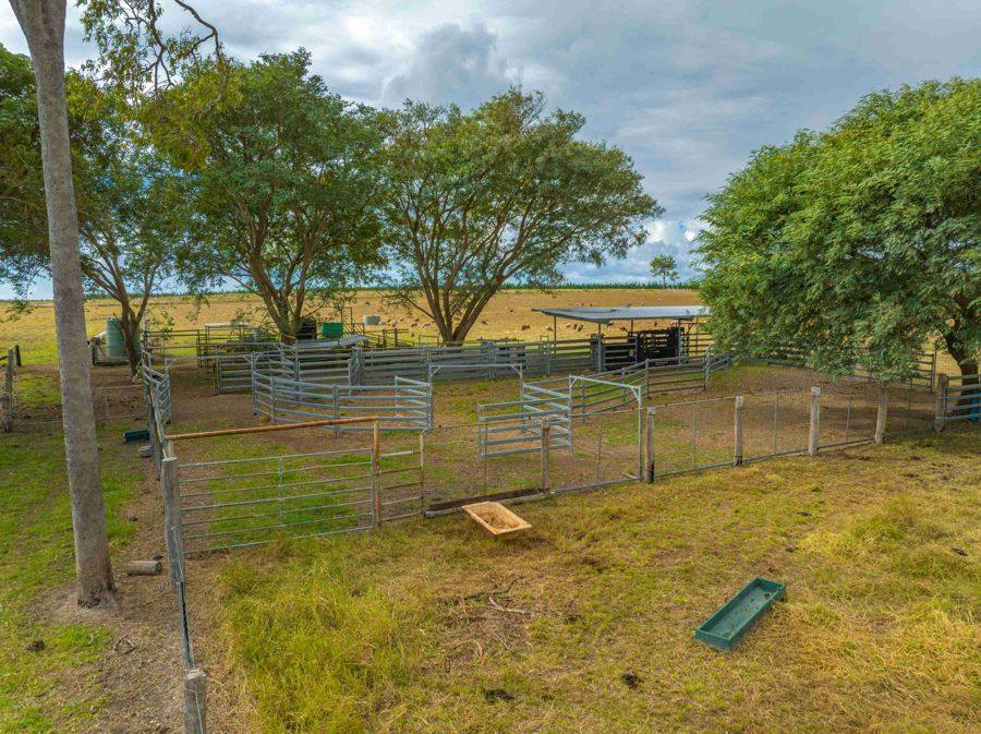 343 Suthers Road, Dunmora For Sale by Farmbuy.com - image 9