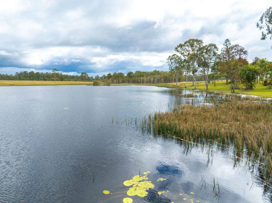 343 Suthers Road, Dunmora For Sale by Farmbuy.com - image 15