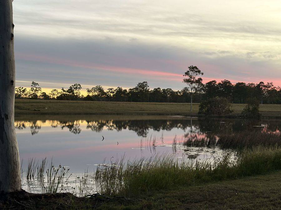 343 Suthers Road, Dunmora For Sale by Farmbuy.com - image 34