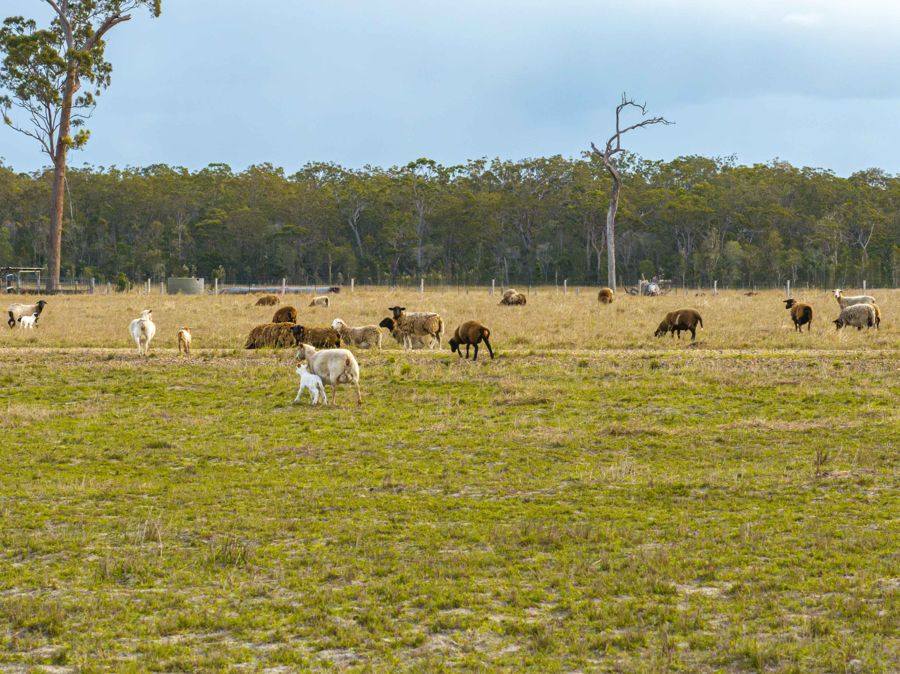 343 Suthers Road, Dunmora For Sale by Farmbuy.com - image 6