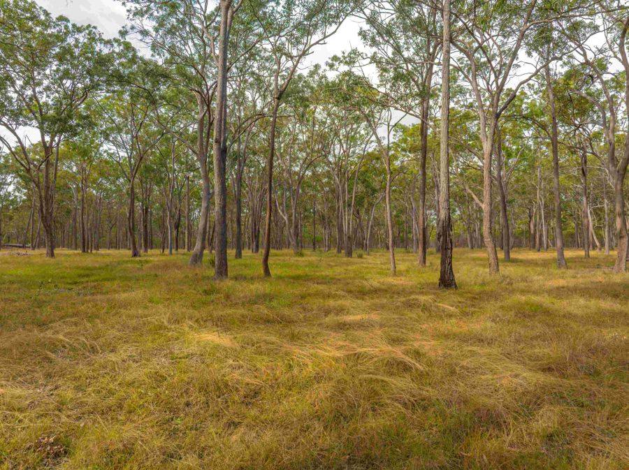 343 Suthers Road, Dunmora For Sale by Farmbuy.com - image 14