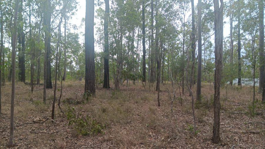 Lot 188 Arborthree Road, Glenwood For Sale by Farmbuy.com - image 5
