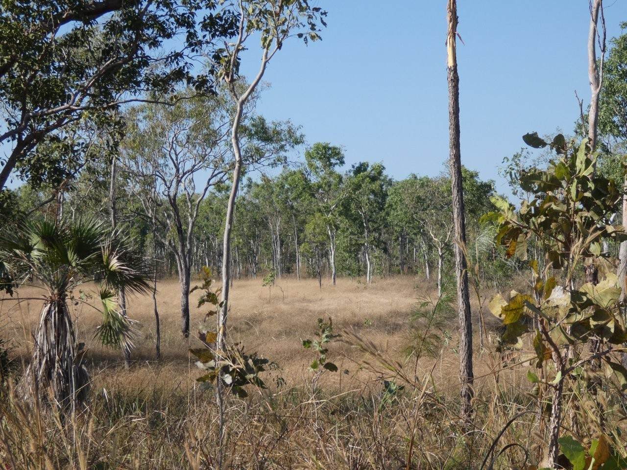1405 Letchford Road, Collett Creek For Sale by Farmbuy.com - image 21