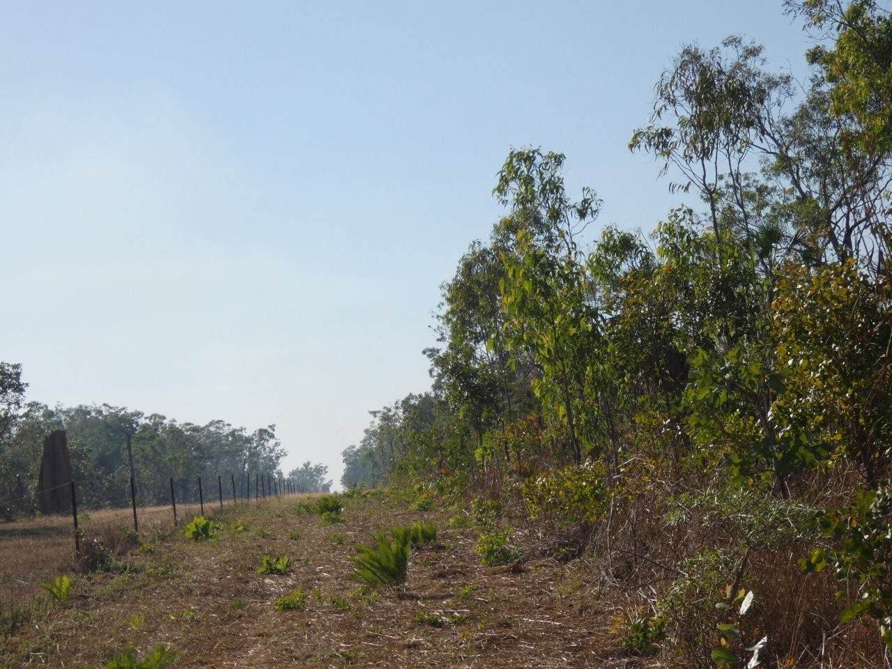 1405 Letchford Road, Collett Creek For Sale by Farmbuy.com - image 17