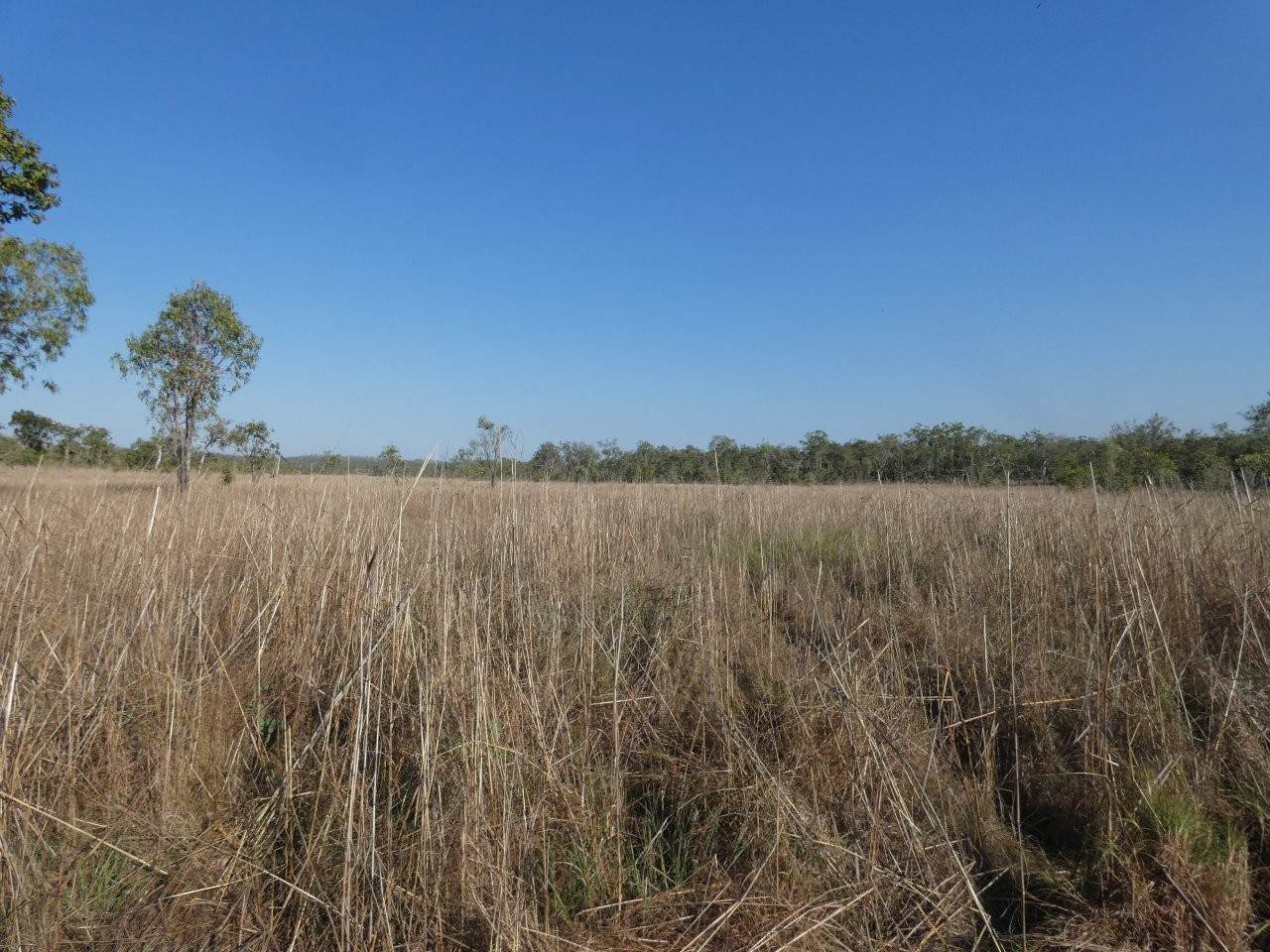 1405 Letchford Road, Collett Creek For Sale by Farmbuy.com - image 18