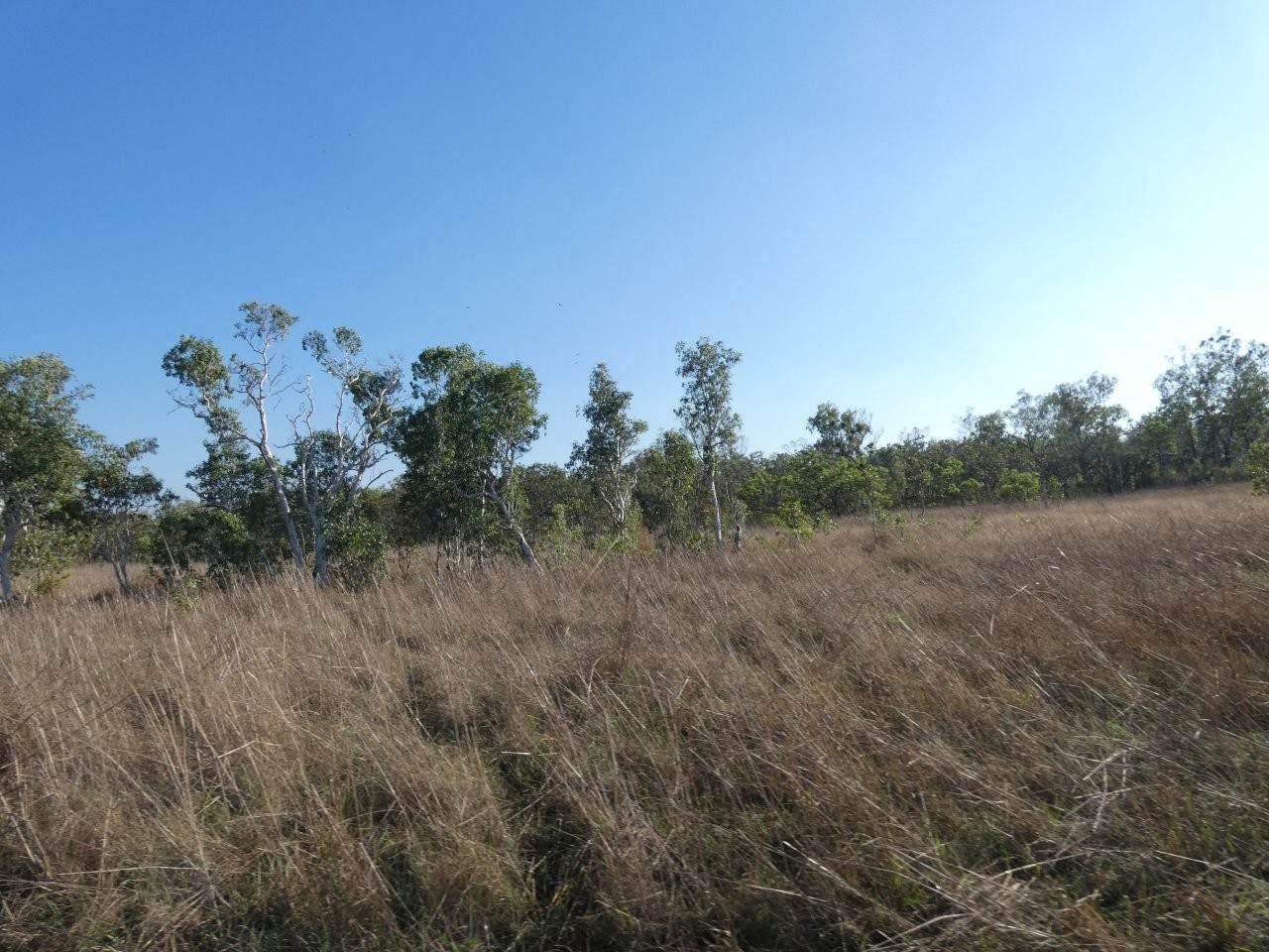 1405 Letchford Road, Collett Creek For Sale by Farmbuy.com - image 13