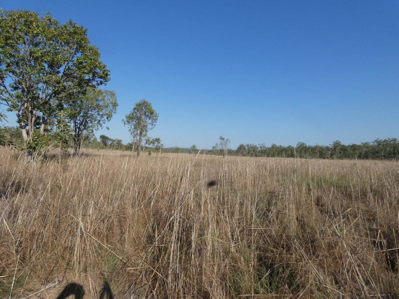 1405 Letchford Road, Collett Creek For Sale by Farmbuy.com - image 16