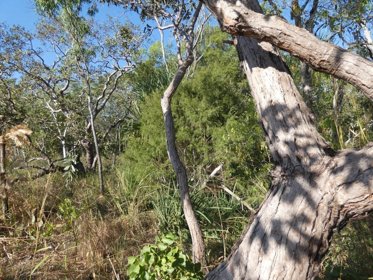 1405 Letchford Road, Collett Creek For Sale by Farmbuy.com - image 15