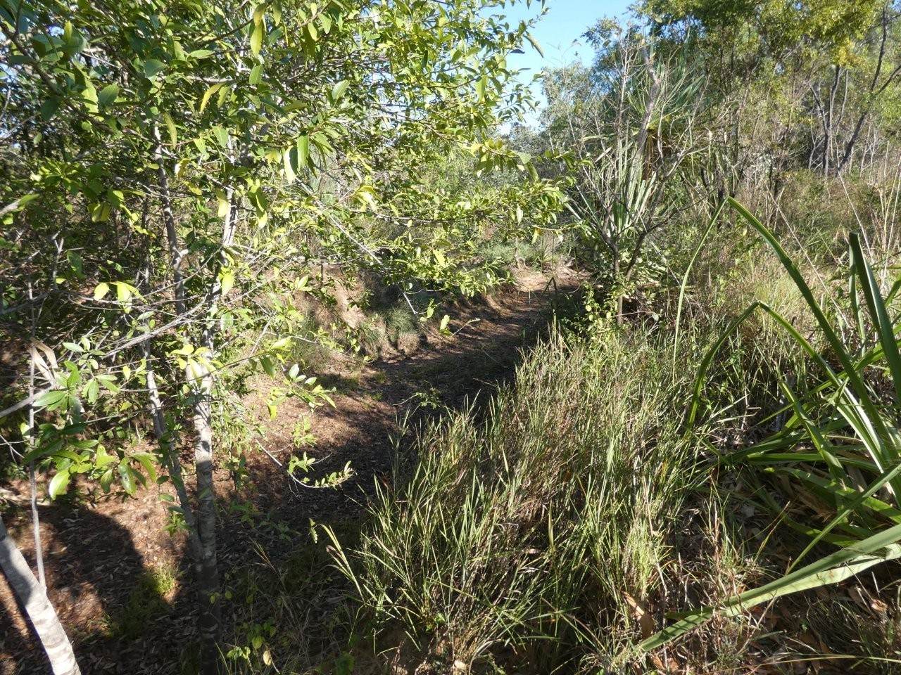 1405 Letchford Road, Collett Creek For Sale by Farmbuy.com - image 14