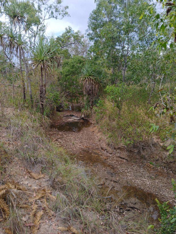 1405 Letchford Road, Collett Creek For Sale by Farmbuy.com - image 2