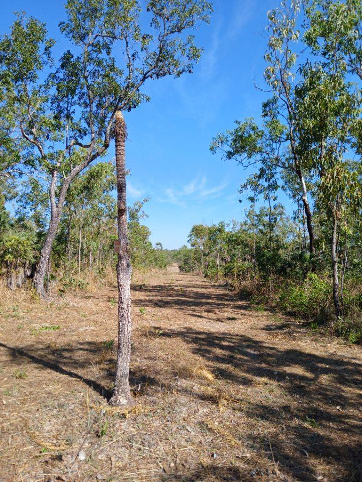 1405 Letchford Road, Collett Creek For Sale by Farmbuy.com - image 4