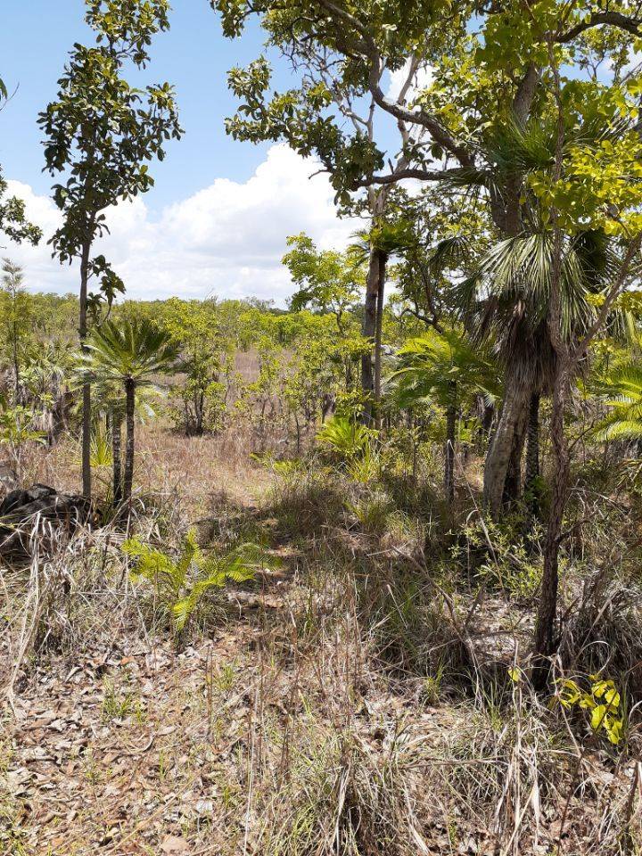 1405 Letchford Road, Collett Creek For Sale by Farmbuy.com - image 5