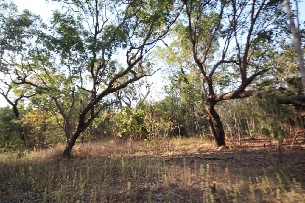 Manton NT 0837
