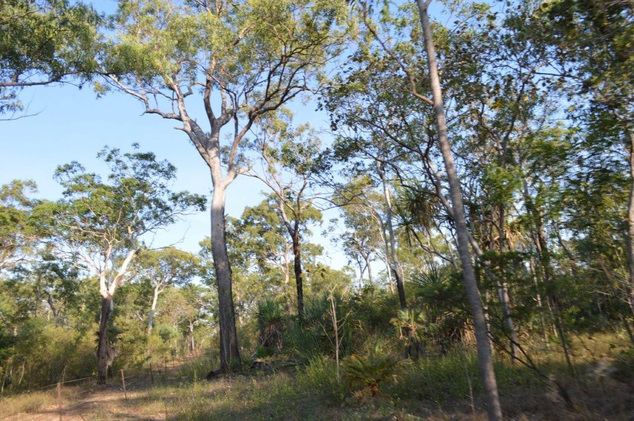 Manton Sold by Farmbuy.com - image 9