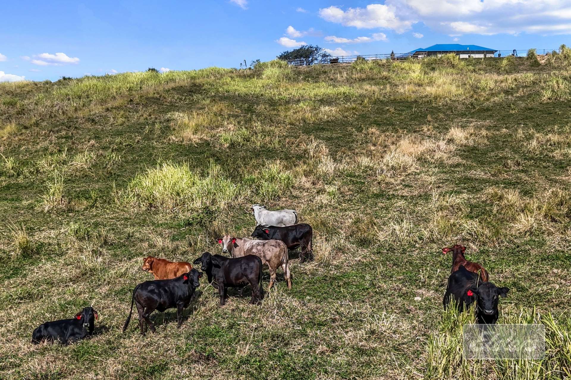 87 Cormac Road, Kia Ora For Sale by Farmbuy.com - image 32