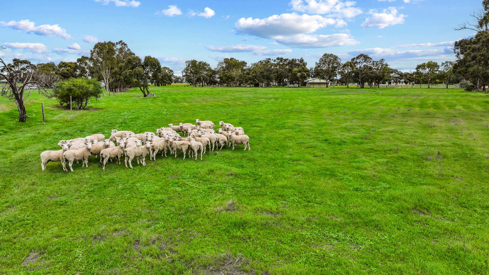 49 Old Padthaway Road, Mundulla For Sale by Farmbuy.com - image 25