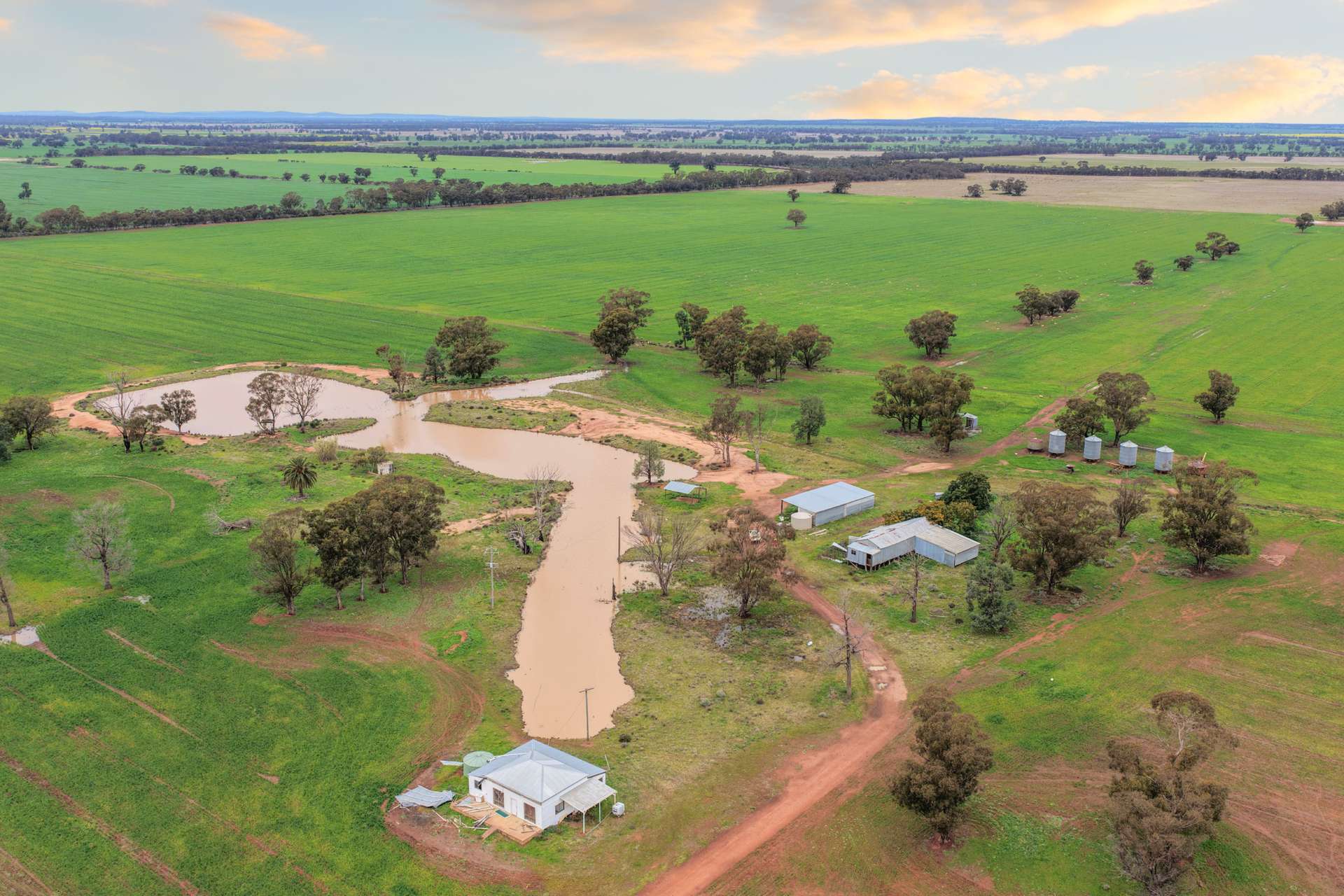 679 Bellarwi Road, West Wyalong For Sale by Farmbuy.com - image 5