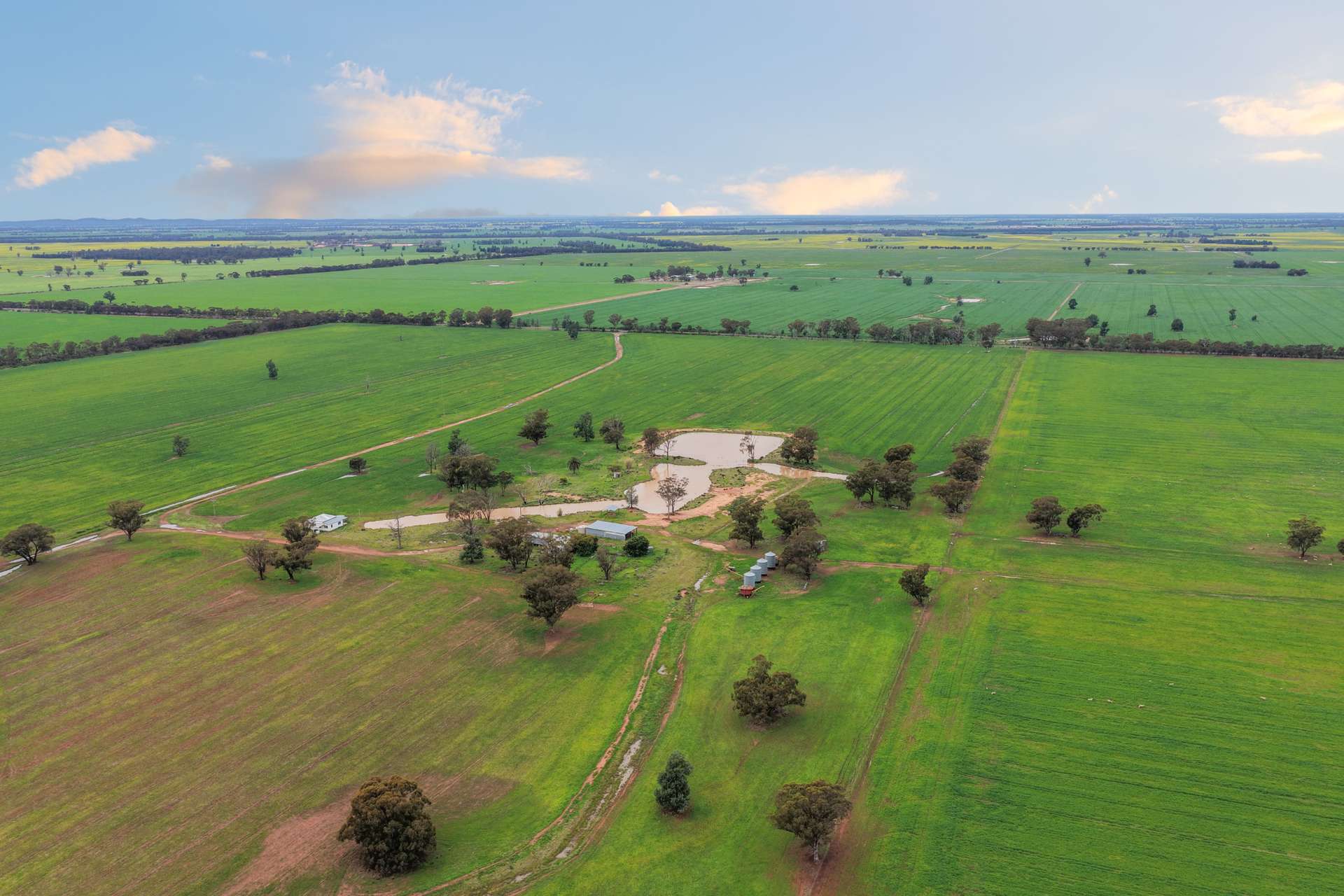 679 Bellarwi Road, West Wyalong For Sale by Farmbuy.com - image 3