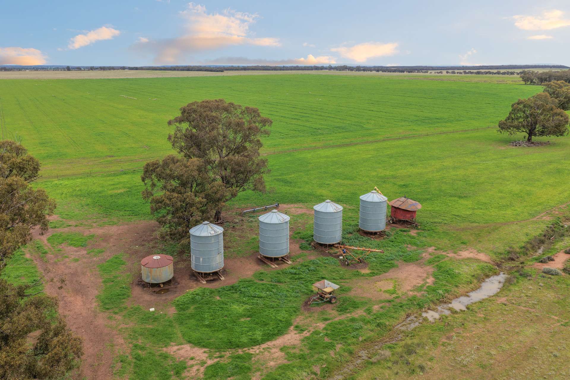 679 Bellarwi Road, West Wyalong For Sale by Farmbuy.com - image 7