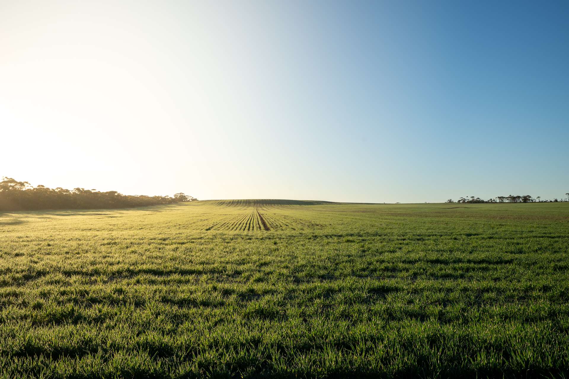 1074 Neve Road, Pingrup For Sale by Farmbuy.com - image 11