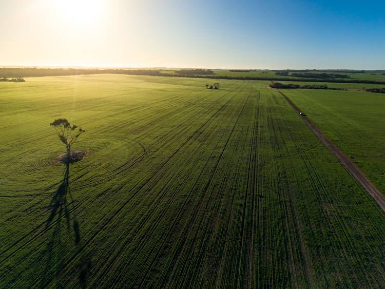 1074 Neve Road, Pingrup For Sale by Farmbuy.com - image 10
