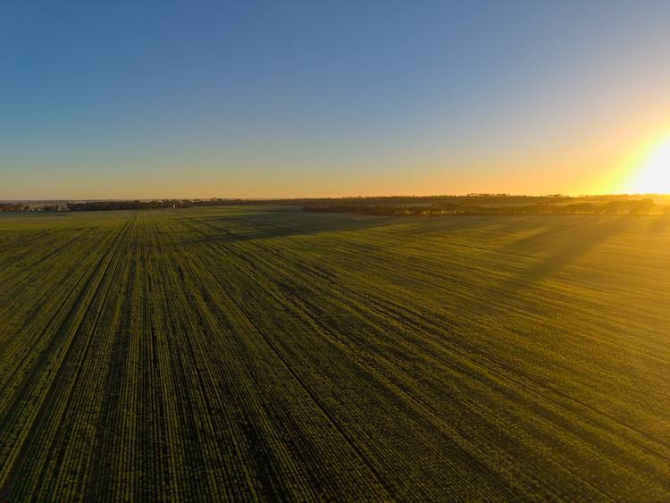 1074 Neve Road, Pingrup For Sale by Farmbuy.com - image 2