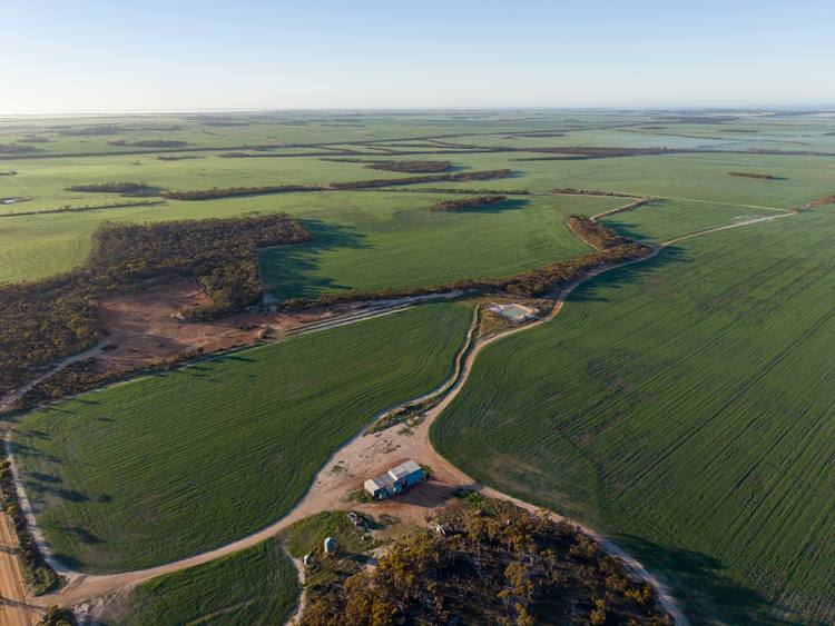 1074 Neve Road, Pingrup For Sale by Farmbuy.com - image 3