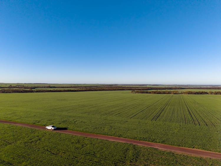 1074 Neve Road, Pingrup For Sale by Farmbuy.com - image 8