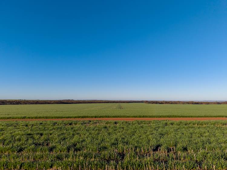 1074 Neve Road, Pingrup For Sale by Farmbuy.com - image 7