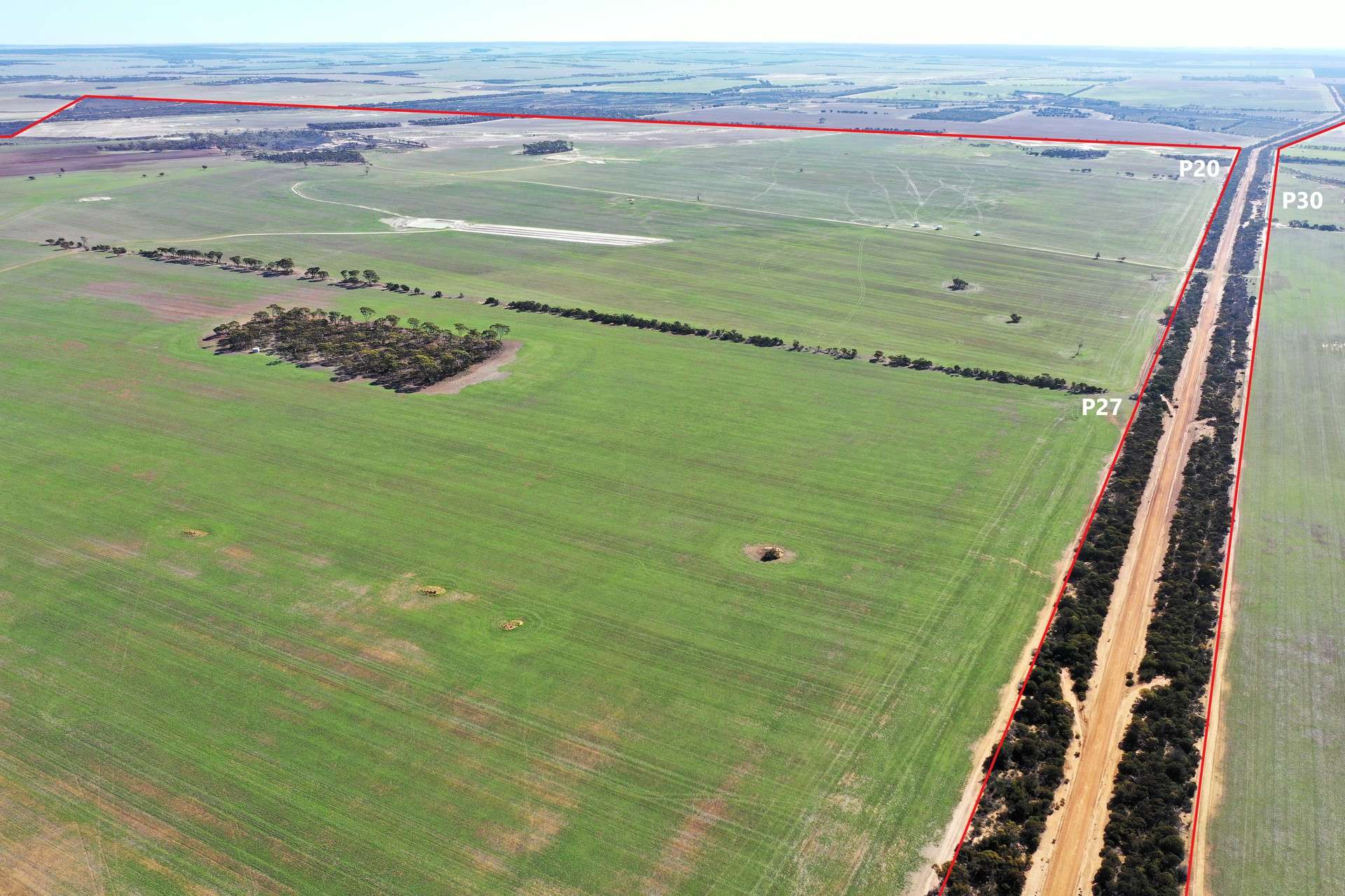 North Newdegate, Mount Sheridan For Sale by Farmbuy.com - image 11