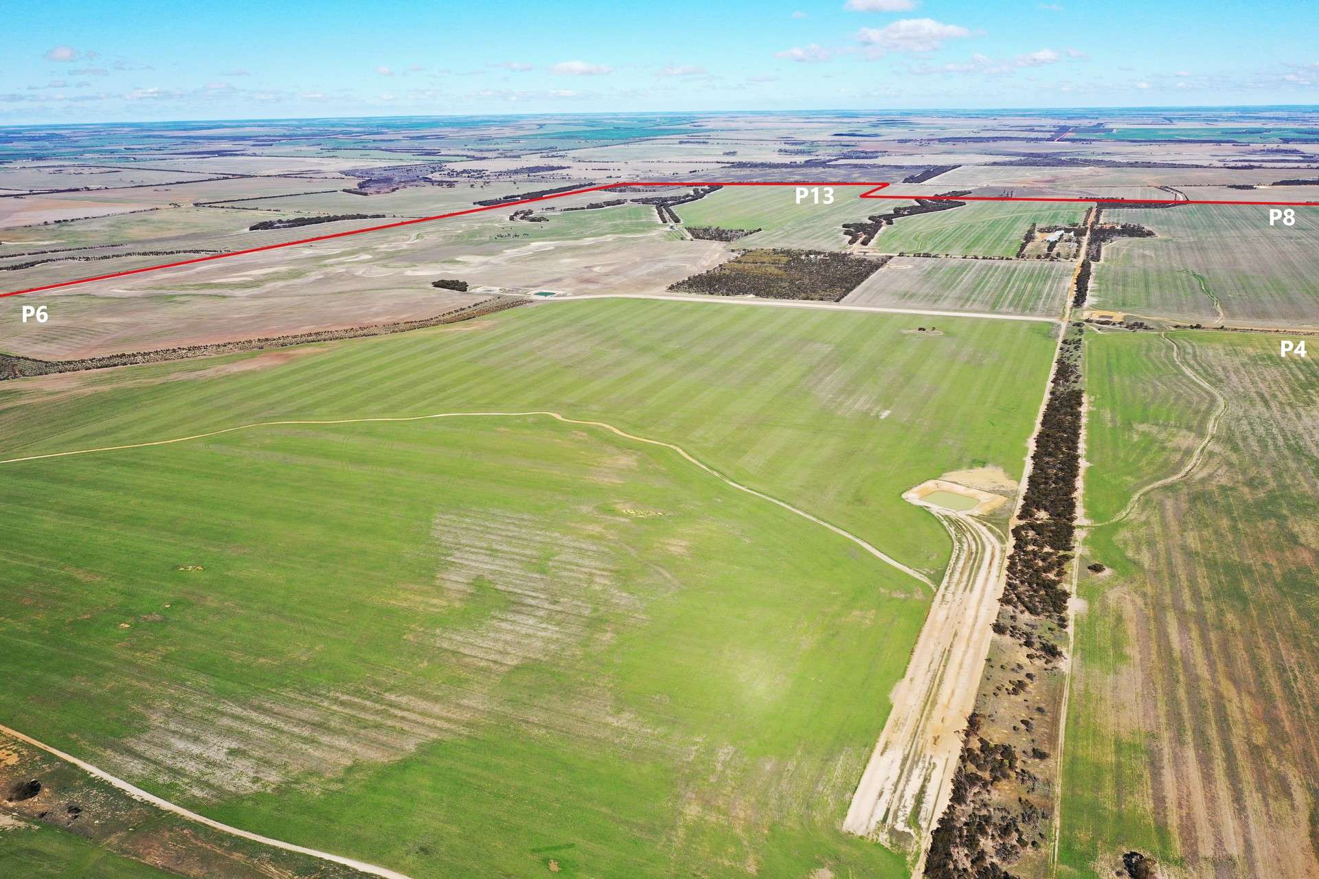 North Newdegate, Mount Sheridan For Sale by Farmbuy.com - image 8