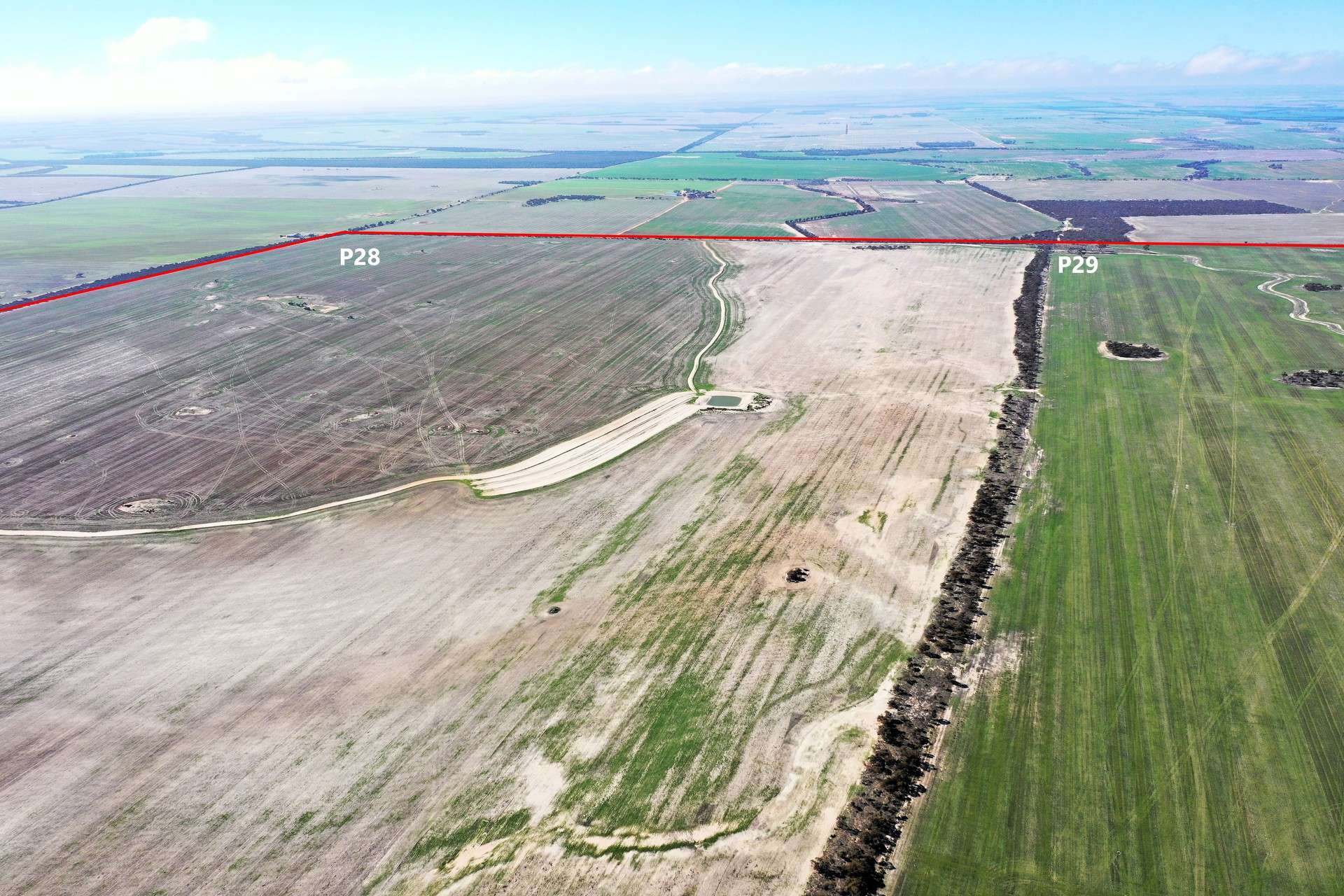 North Newdegate, Mount Sheridan For Sale by Farmbuy.com - image 33