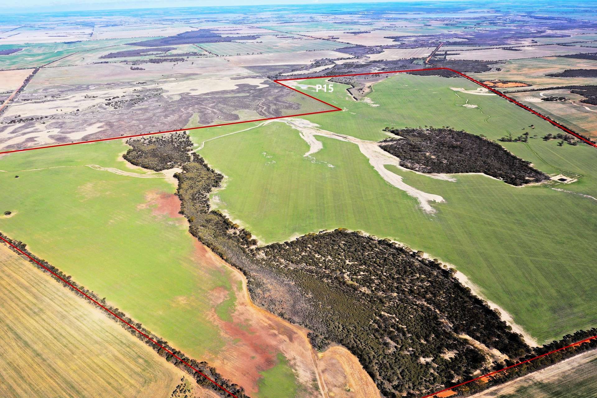 North Newdegate, Mount Sheridan For Sale by Farmbuy.com - image 10