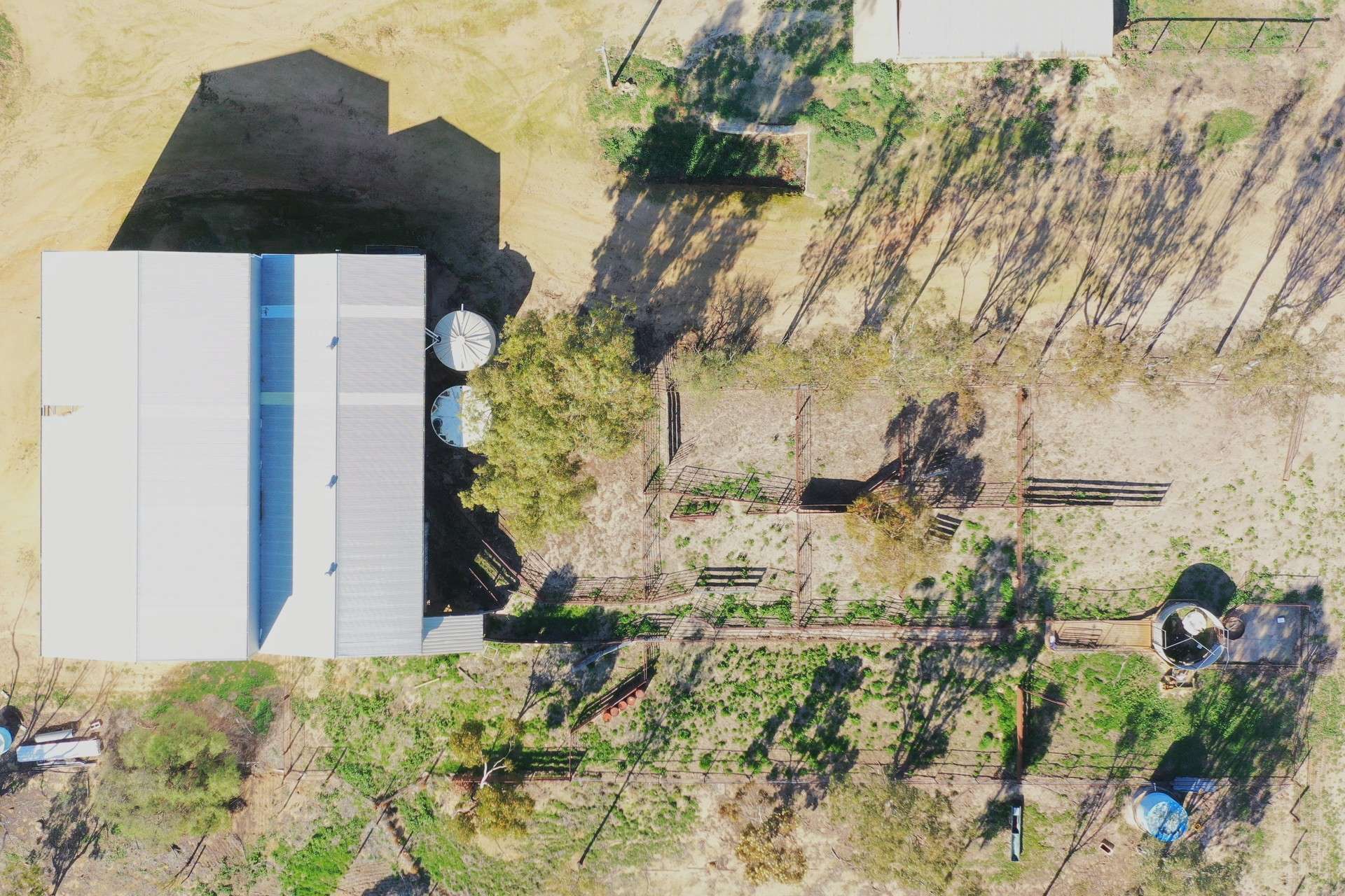 North Newdegate, Mount Sheridan For Sale by Farmbuy.com - image 22