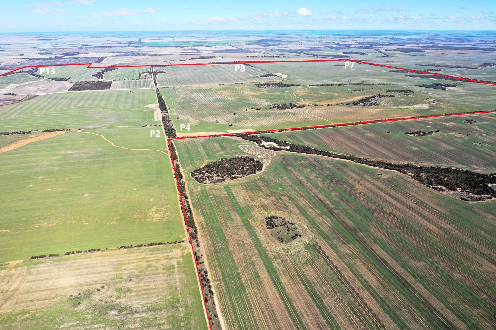 North Newdegate, Mount Sheridan For Sale by Farmbuy.com - image 5