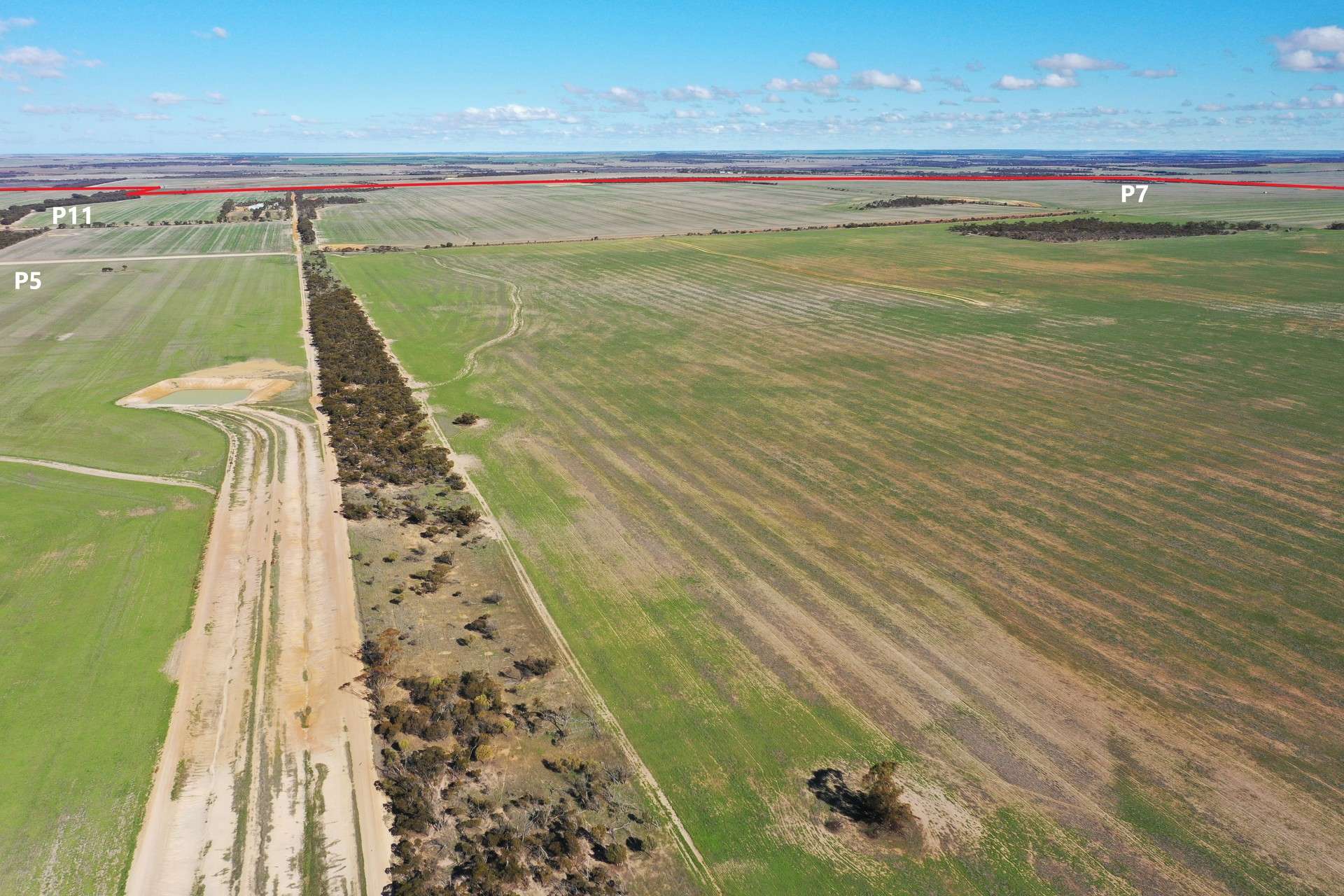 North Newdegate, Mount Sheridan For Sale by Farmbuy.com - image 6