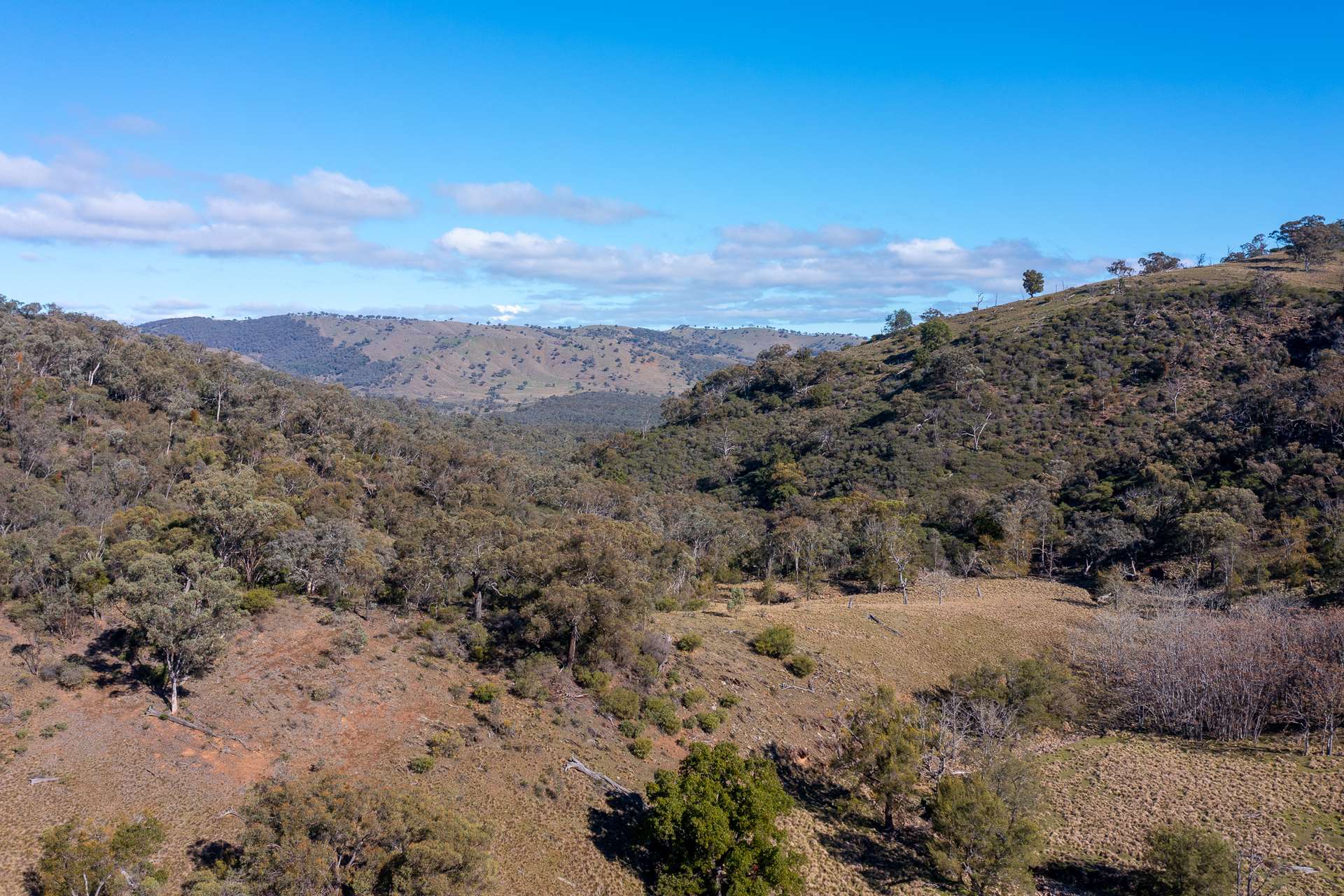 1697 Triamble Road, Mudgee For Sale by Farmbuy.com - image 14