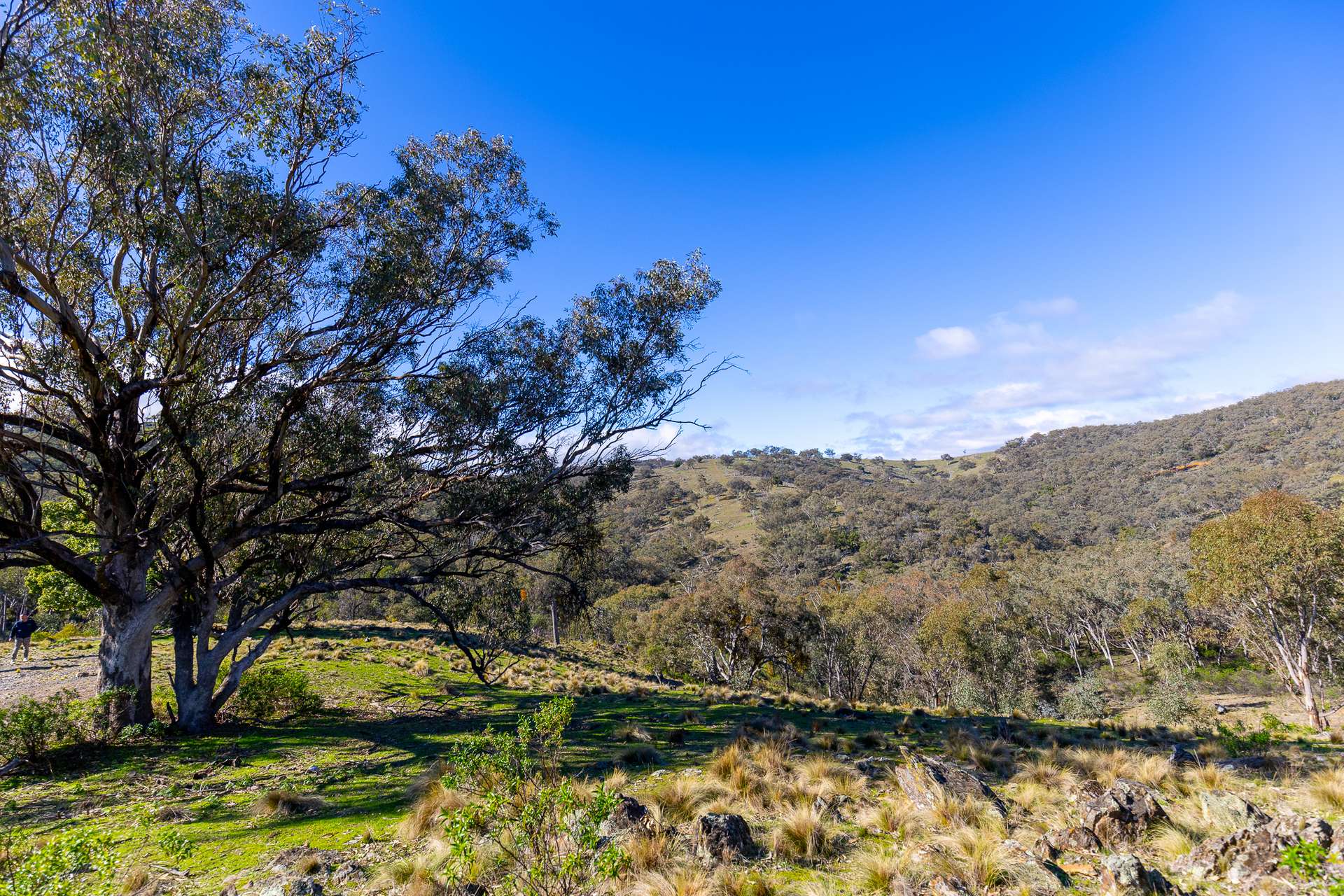 1697 Triamble Road, Mudgee For Sale by Farmbuy.com - image 11