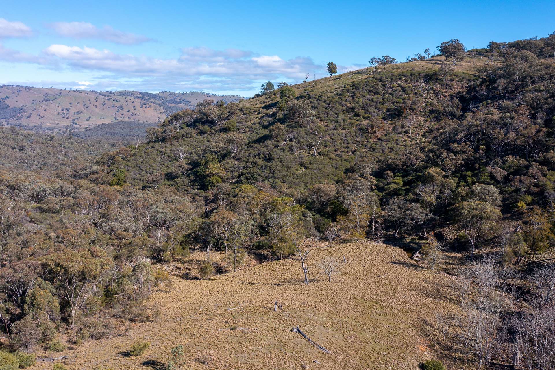 1697 Triamble Road, Mudgee For Sale by Farmbuy.com - image 15