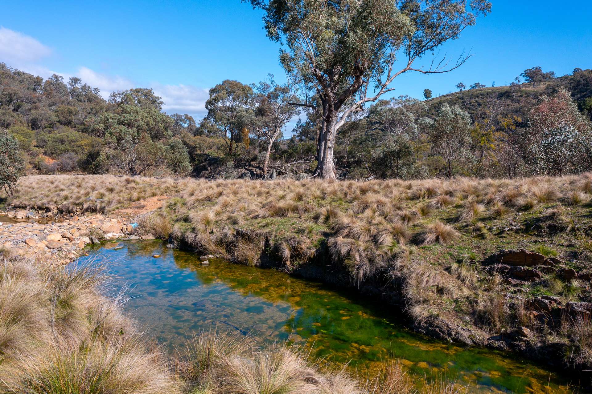 1697 Triamble Road, Mudgee For Sale by Farmbuy.com - image 3