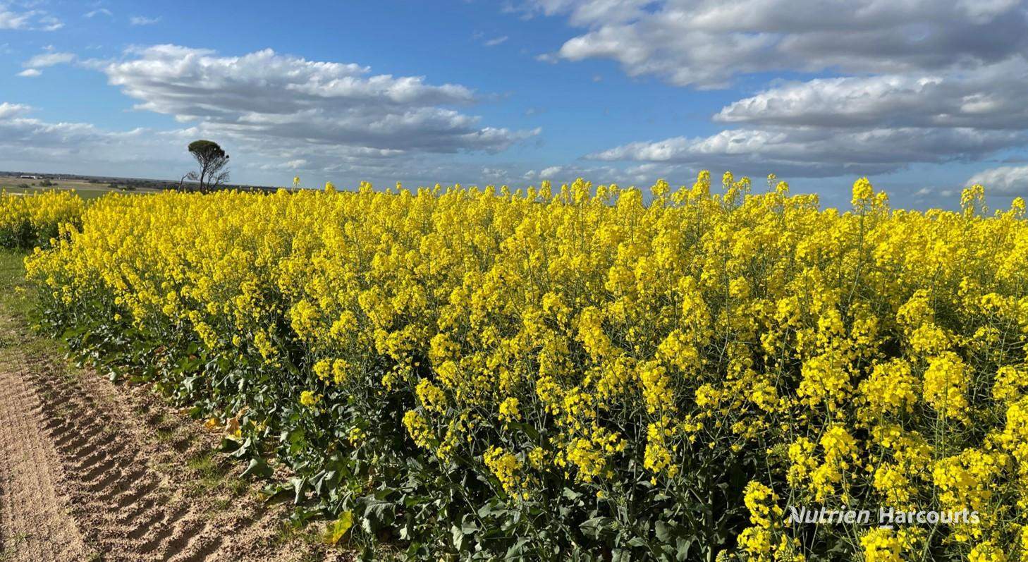 3361 Coorow-Green Head Road, Eganu For Sale by Farmbuy.com - image 2