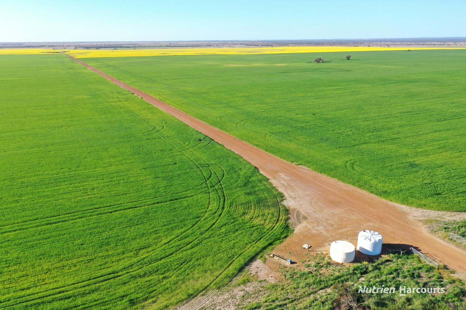 3361 Coorow-Green Head Road, Eganu For Sale by Farmbuy.com - image 19