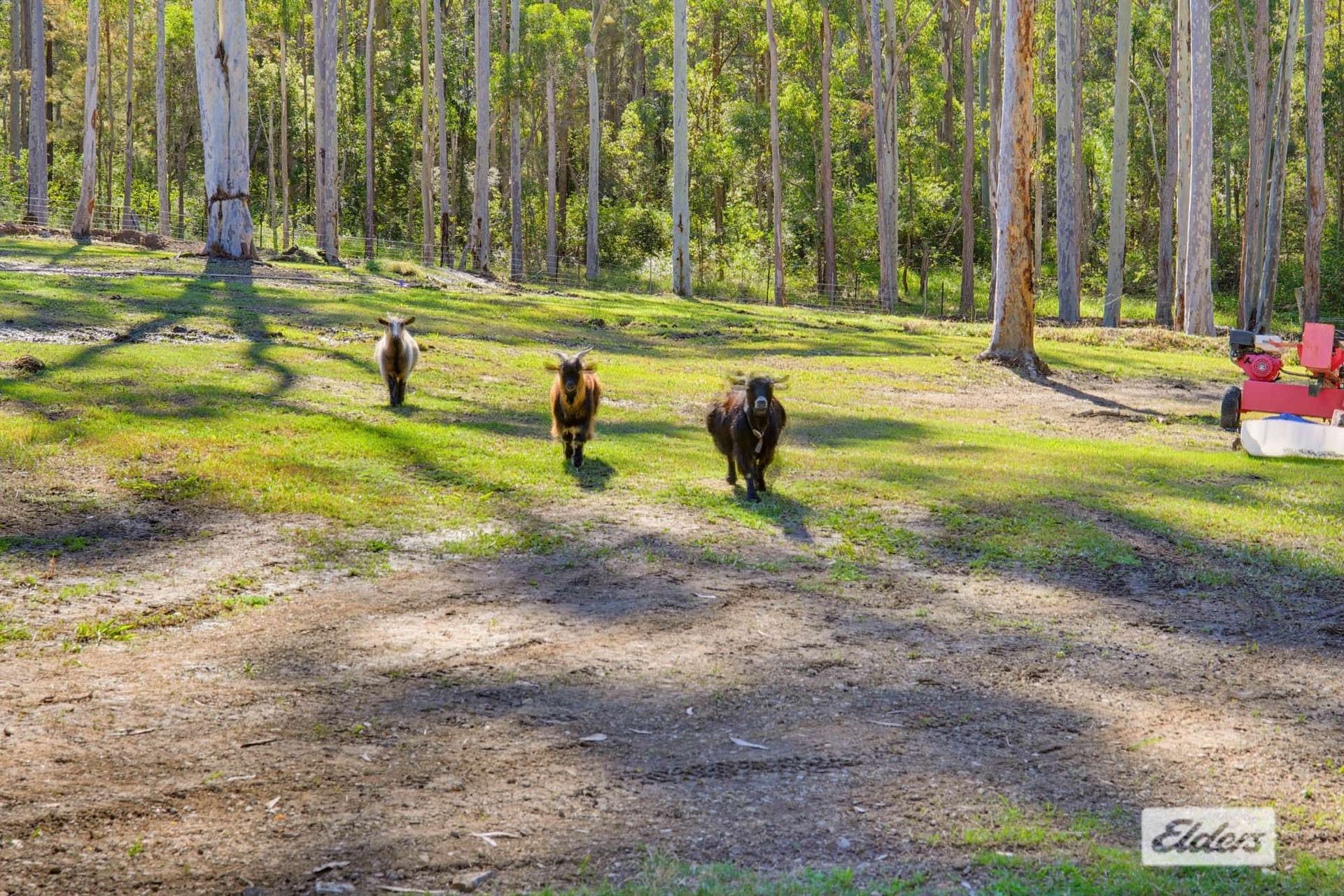 31 Willunga Close, Taree For Sale by Farmbuy.com - image 18