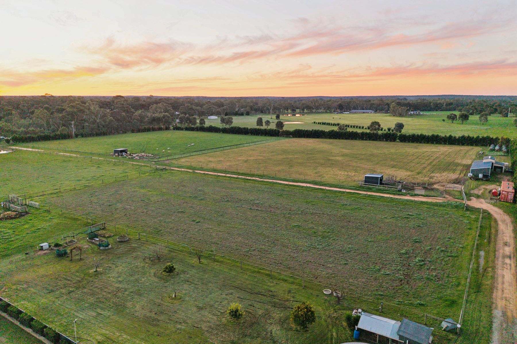 1703 McIvor Highway, Longlea For Sale by Farmbuy.com - image 27