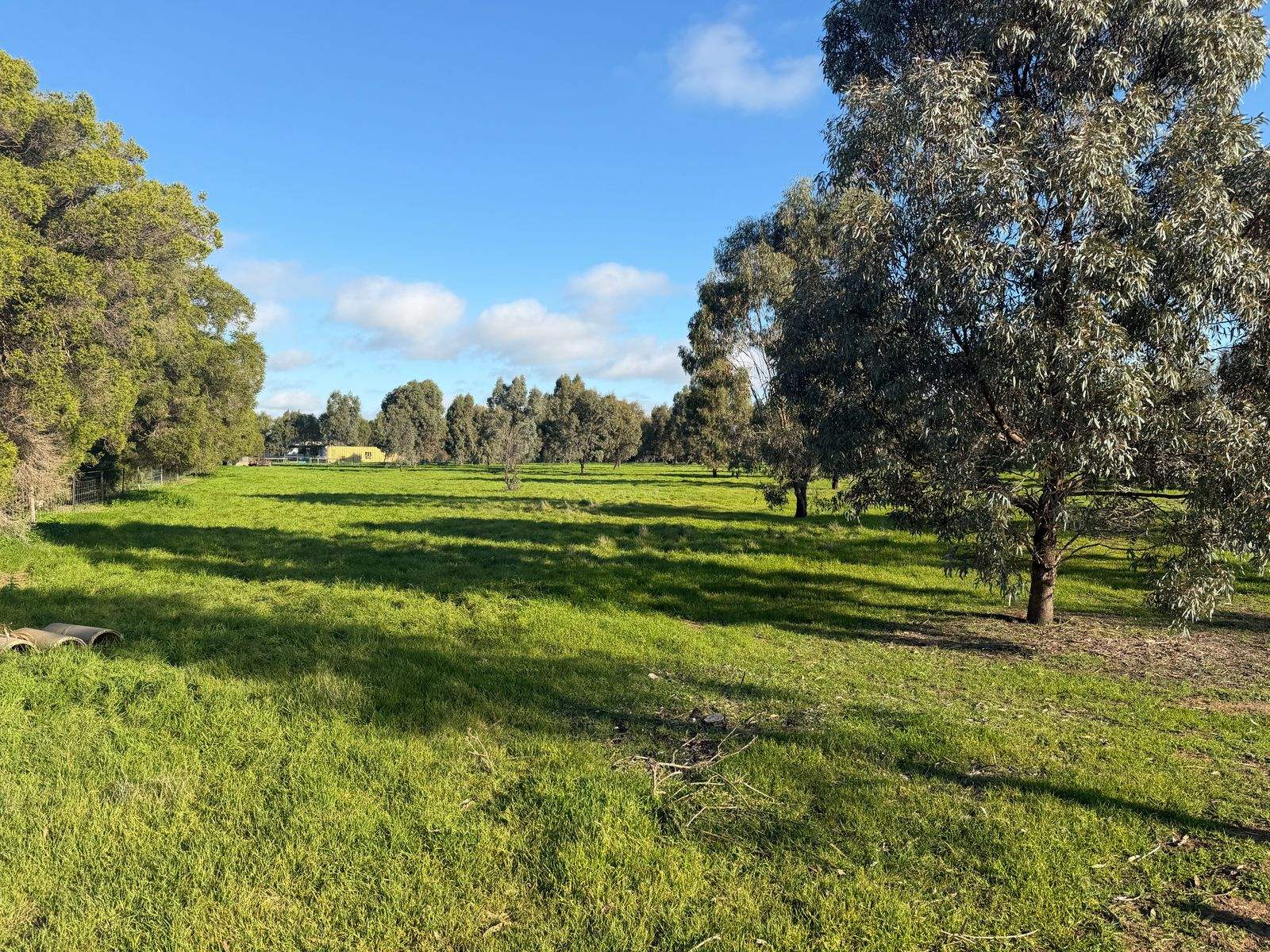 7507 Murray Valley Highway, Mead For Sale by Farmbuy.com - image 19