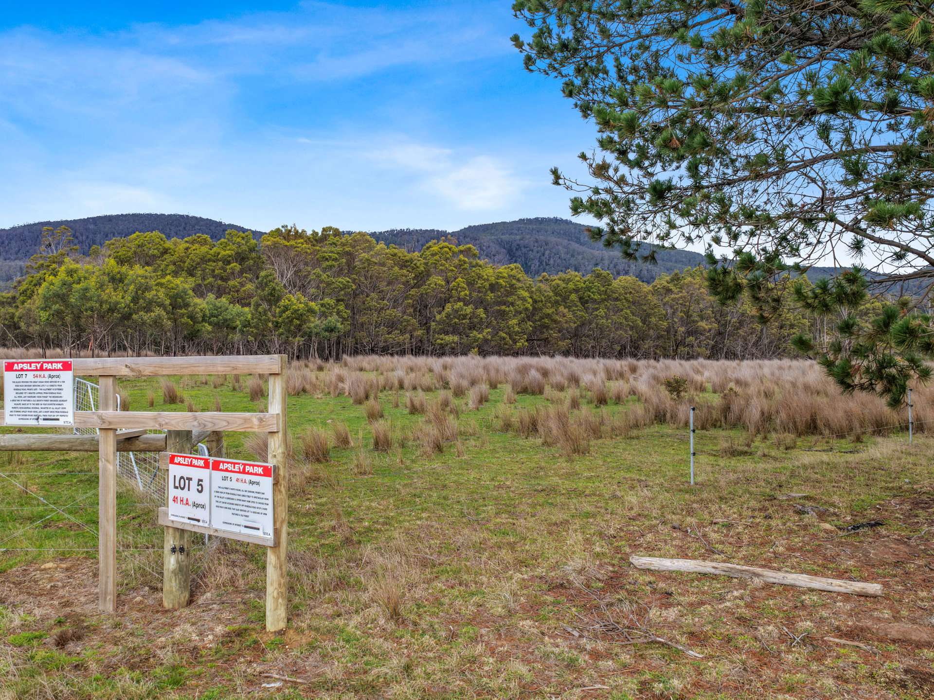 Lot 5, 524 Rosedale Road, Bicheno For Sale by Farmbuy.com - image 4