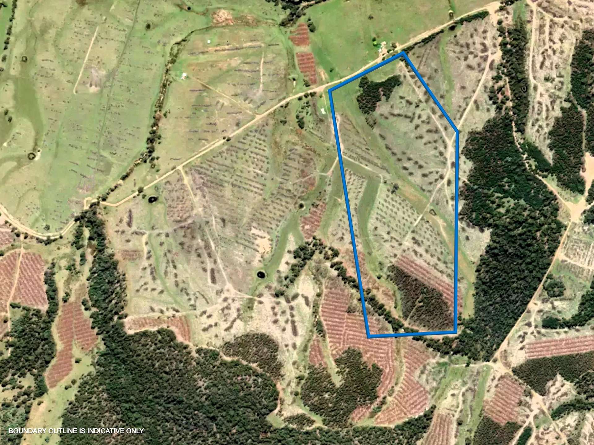 Lot 5, 524 Rosedale Road, Bicheno For Sale by Farmbuy.com - image 3